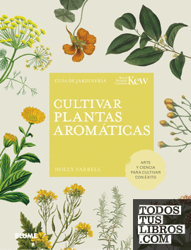 Cultivar plantas aromáticas
