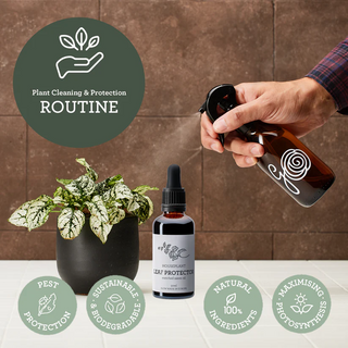 Insecticida natural de plantas