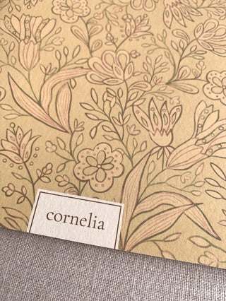 Cuadernos Pitti & Pandora