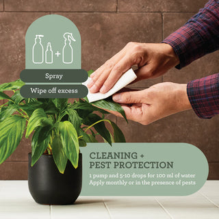 Kit de limpieza y protección de plantas