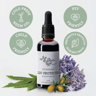 Insecticida natural de plantas