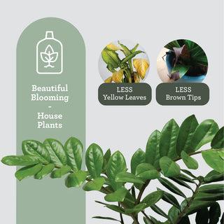 Kit nutrición de plantas