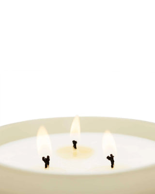 Vela 600 gr Tuberosa y Jazmín